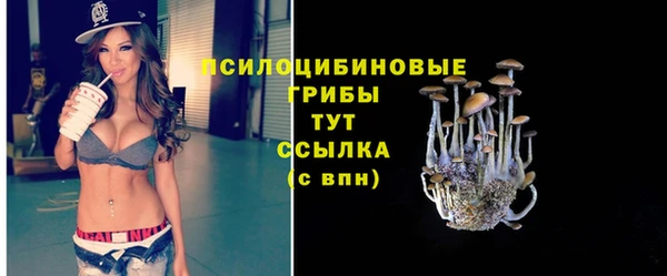 mdpv Магас