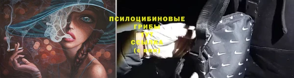 каннабис Майский