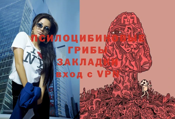 mdpv Магас