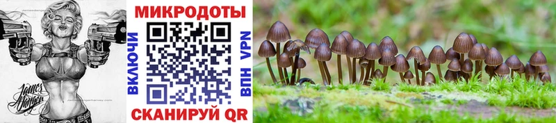 Псилоцибиновые грибы Magic Shrooms  Ахтырский 