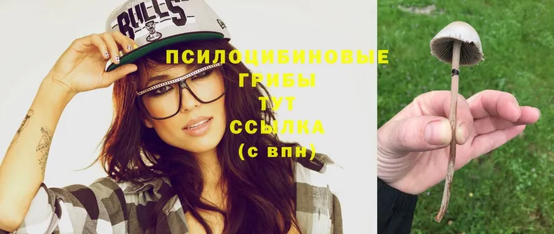 Псилоцибиновые грибы Magic Shrooms  Ахтырский 